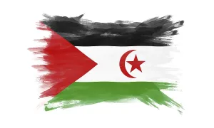 Sahrawi Arab Democratic Republic flag brush stroke