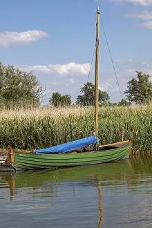 Sailboat in the harbour, reeds