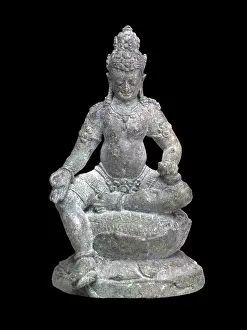 Sailendra (Sanskrit)