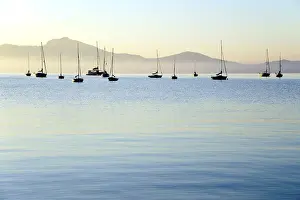 Sailing boats, dawn in the bay of Puerto de Pollensa