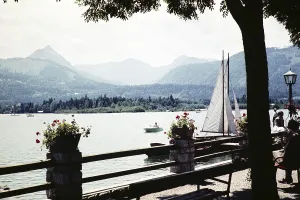 Sailing boats on, Wolfgangsee, St. Wolfgang im Salzkammergut, Austria, Europe 1960, Europe