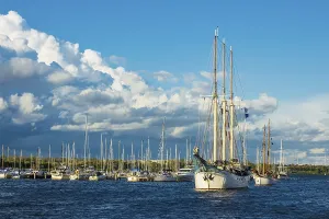 Sailing ships at the Hanse Sail in Rostock