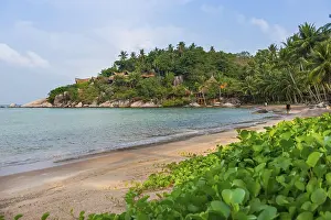 Sairee beach, beach, island, holiday island