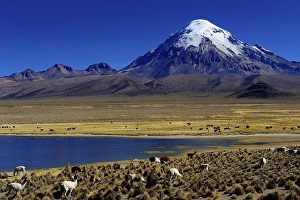 Sajama Mountain, Bolivia's highest mountain