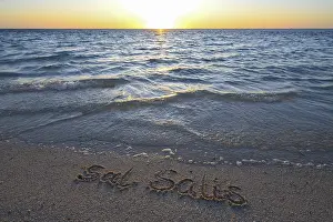 Sal Salis lettering in the sand