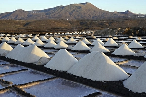 Salinas de Janubio, salt flats