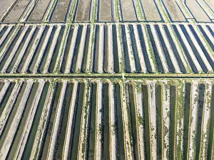 Saline ponds at the salt works of Isla Cristina