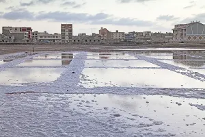 Salt basin in the disused saline