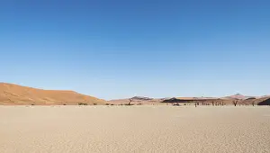 Salt and clay pan, Deadvlei, Sossusvlei