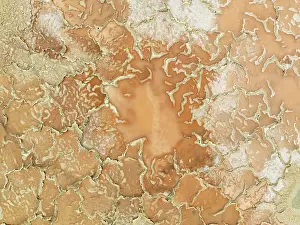 Salt marsh at the Skeleton Coast