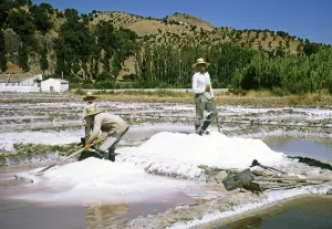 Salt pans between Jerez and Arcos de la Frontera, Spain 1964