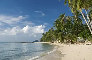 The Samui Archipelago was first discovered as a budget traveler's paradise back in the 1970s