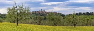 San Gimignano, Tuscany, Italy, Europe