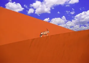 Sand dune, dune, dunes, desert