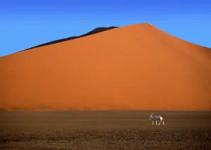 Sand dune, dune, dunes, desert