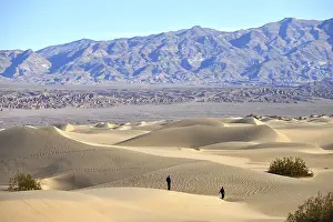 Sand dunes in Death Valley, Nevada, United States