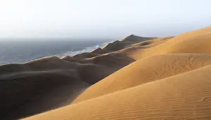Sand dunes and sea in evening light