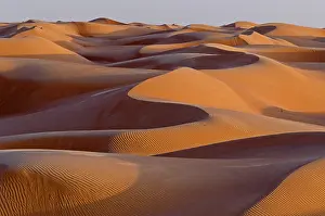 The sand dunes of the Wahiba Sands desert