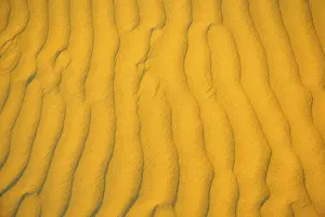 Category Historic EN Prints: Sand pattern in form of ripples in morning light golden color