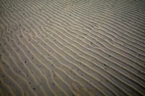 Sand ripples, wavy lines in the sand