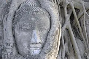 Sandstone head of a Buddha statue