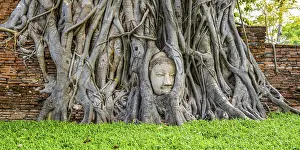 Sandstone head of a Buddha statue