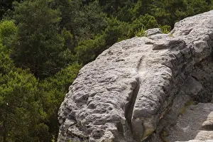 Sandstone rocks near Halberstadt in the Harz Mountains