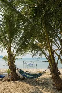 Sandy beach beach with coconut palms