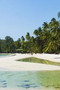 Sandy beach beach with coconut palms