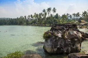 Sandy beach beach with coconut palms