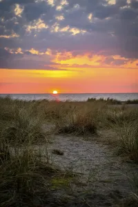 Sandy beach beach with dune grass