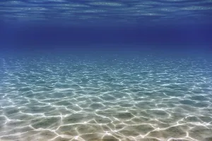 Sandy sea bottom Underwater background
