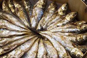 Sardines