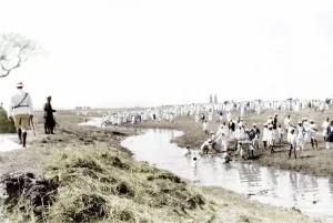 Satyagrahi on their way to Salt Works of Dharasana, Gujarat, India, Asia, April 1930, Asia