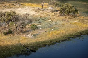 Savanna with yellow grass and river