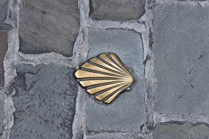 Scallop shell as a sign for the pilgrimage route/ Way of St