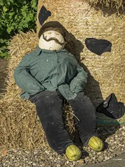 A scarecrow lies on a haystack next to a stone path in the garden