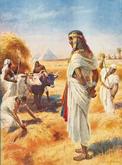 Scene from the biblical story, the rich harvest in Egypt