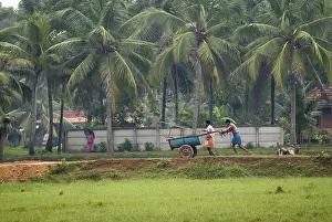 Scene during monsoon at Mannarsala, Kerala, India