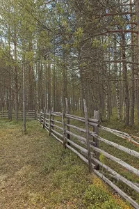 Scenery landscape with old rural wood fence