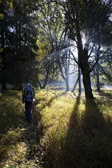 Scenes of hiking in the wild
