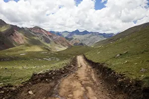 A scenic dirt trail meanders through the vibrant