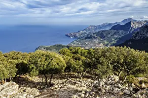 Scenic overlook of a rugged coastline with mountains and trees