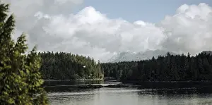 Framed Print : Scenic river view surrounded by lush forests and mountains under cloudy skies in Tofino