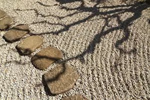 Scenic tree shadow in Japanese zen garden