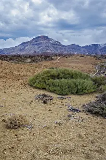 Scenic, unusual and unique volcanic landscape around Teide mountain national park