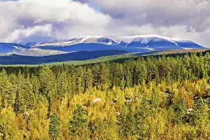 Scenic view above a forest in autumn colors to a mountain with snow