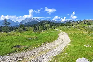 Category Mountain Landscapes Prints: Scenic view of a path winding through lush green meadows in logarska dolina