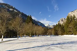 A scenic winter view featuring a snow-covered road flanked by bare trees with mountains in the background