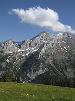 Schlauchhorn